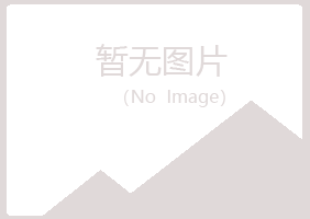 白山紫山零售有限公司